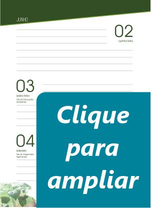 agenda_modelo_3